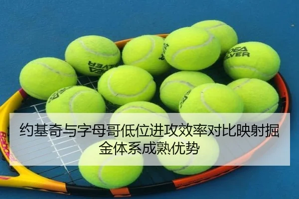 约基奇与字母哥低位进攻效率对比映射掘金体系成熟优势